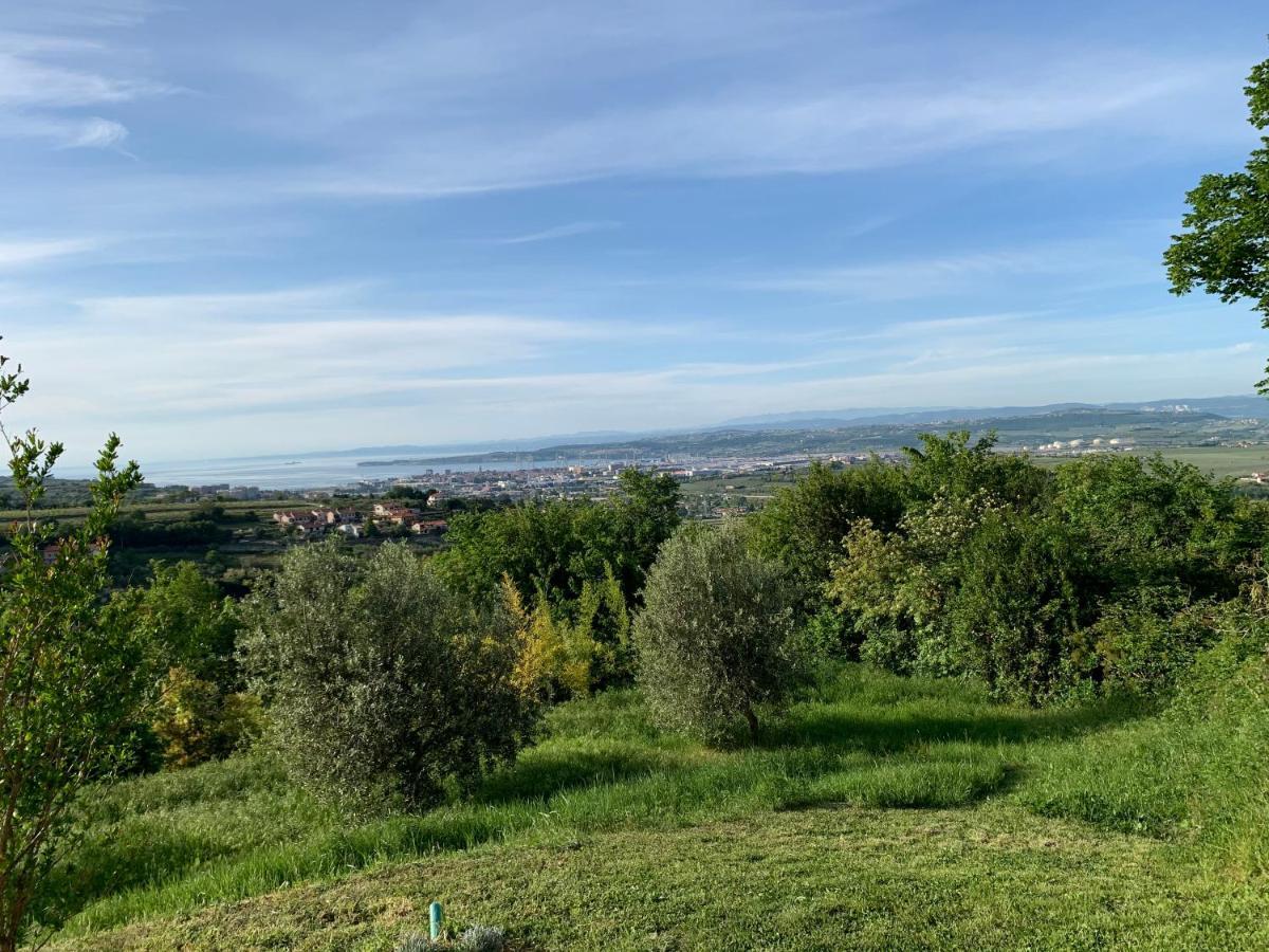 Apartmán Nona Ervina *