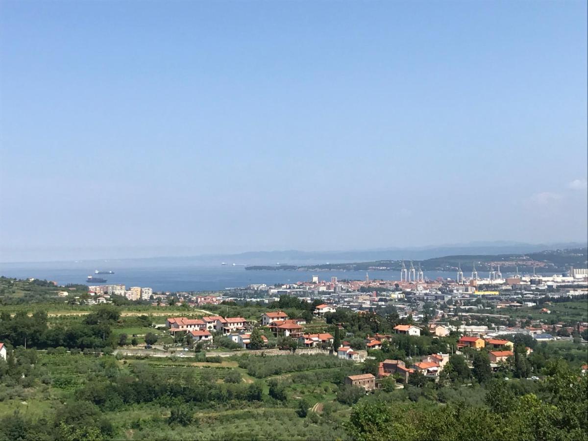 Nona Ervina * Koper